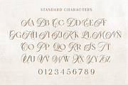 Heaven Of Love | Ligature Serif, a Serif Font by Silverdav (Thumbnail 8 of 12)