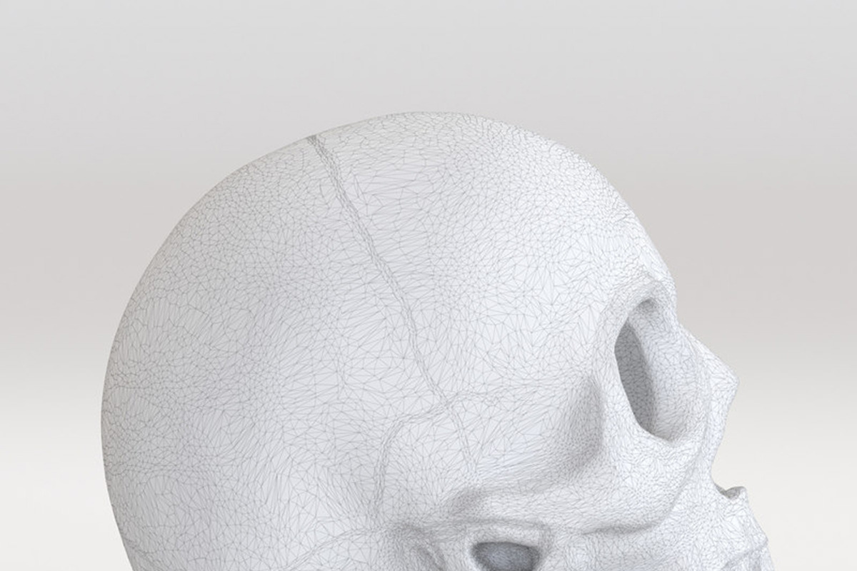 Skull, a 3D by maxtracing2 (Photo 8 of 11)