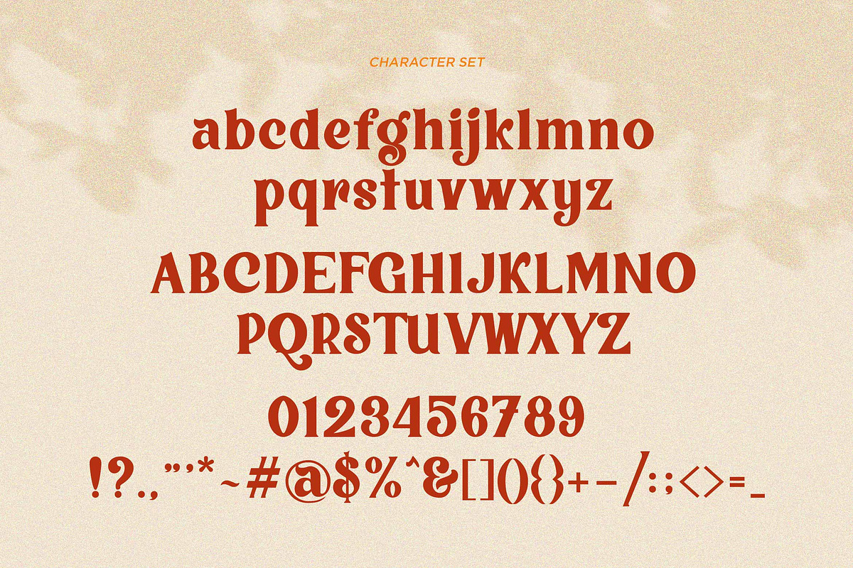 Vigallse - Vintage Modern Serif, a Serif Font by Krakenbox Studio (Photo 11 of 14)