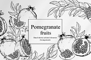 Black & white pomegranates, an Object Graphic by Jeanna Draw (Thumbnail 1 of 8)