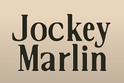 CS Galcia Drawn, a Serif Font by Craft Supply Co. (Thumbnail 4 of 8)
