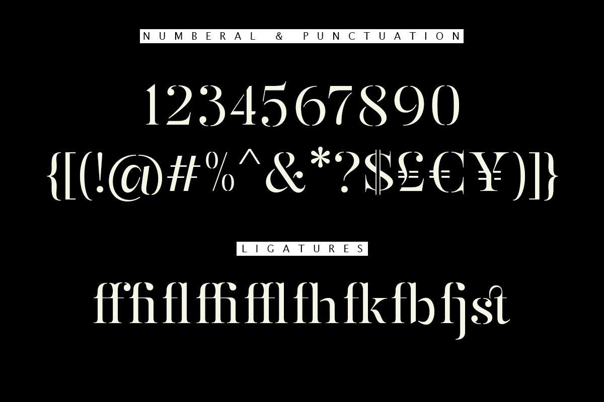 Mulich Serif Display | 18 Fonts, a Serif Font by Skinny Type (Photo 14 of 15)