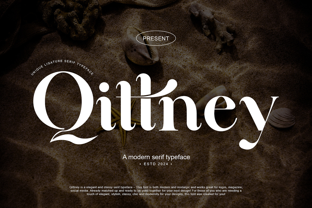 Qittney Unique Ligature Serif Typefa, a Serif Font by yaqublekker (Photo 1 of 8)