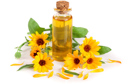 Aromatherapy essential oil with marigold flowers isolated white background, a Nature Photo by NataPhoto
