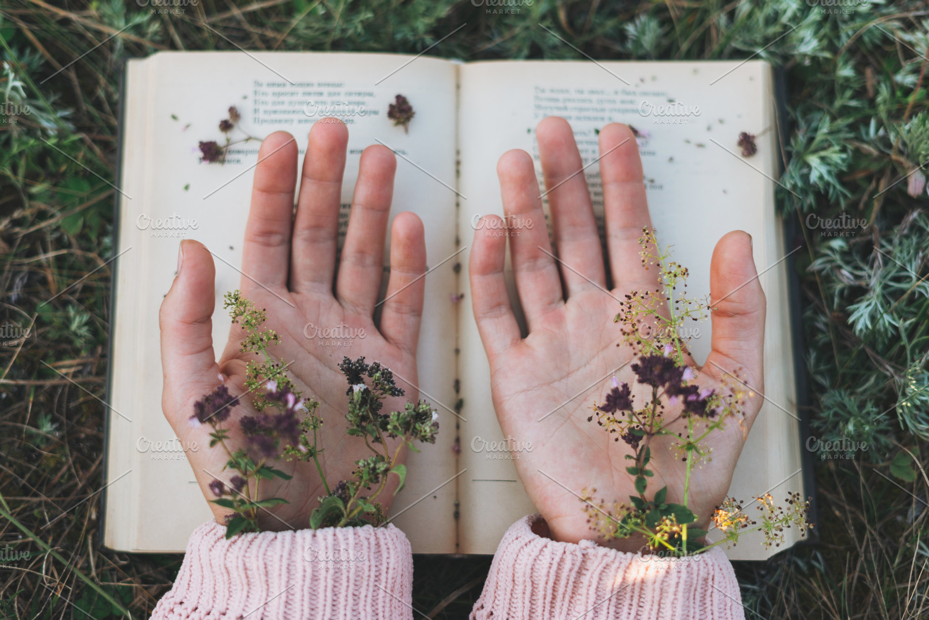 Female hands with flowers on book containing literature, hand, and reading, an Abstract Photo by Galina_Zhigalova