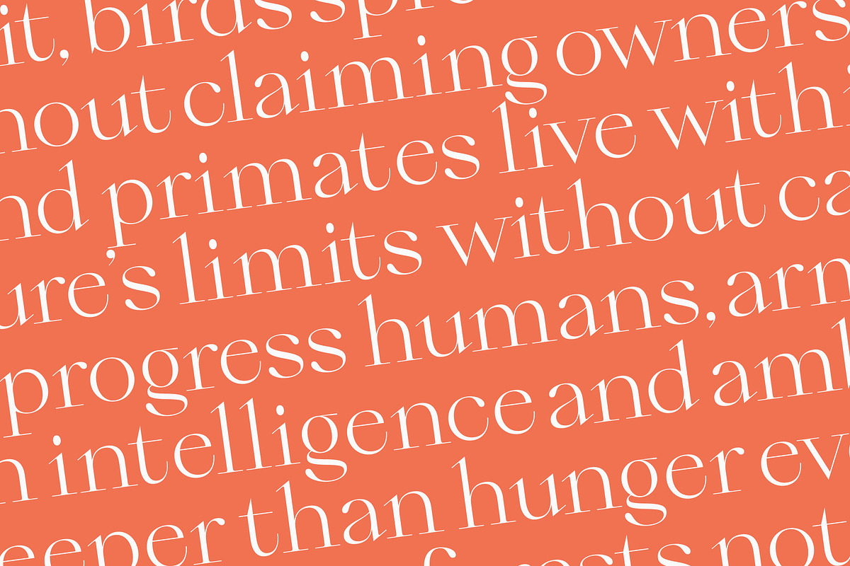 Qiona Elegant Modern Serif Font, a Serif Font by timelesstype.co (Photo 14 of 20)