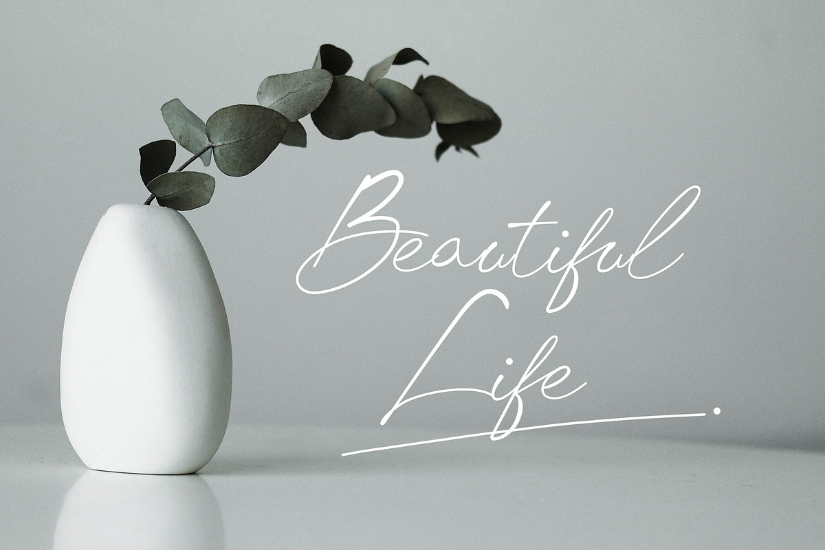 Chick Budapest Signature Font, a Script Font by UICreative (Photo 4 of 5)