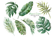 Dragon Fruit Watercolor. Pitahaya., a Decorative Illustration by VetaDesign (Thumbnail 4 of 8)