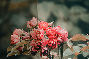 Light Photoshop Actions preview 5