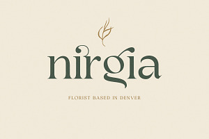 Bhinerka - Stylish Serif Font