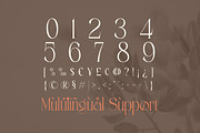 Roselight - Modern Elegant Display, a Serif Font by Qweera Studio (Thumbnail 12 of 12)