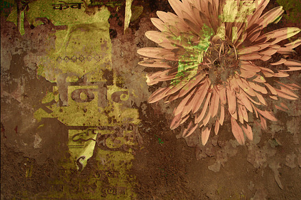 Vintage sunburst featuring grunge, dirty, and picture preview 6