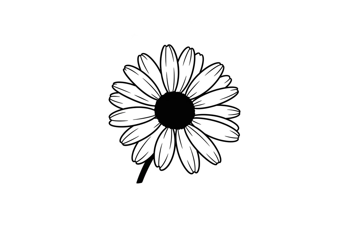 Daisy Flower Line Art Vector Bundle0, an Illustration by jahid234 (Photo 48 of 51)