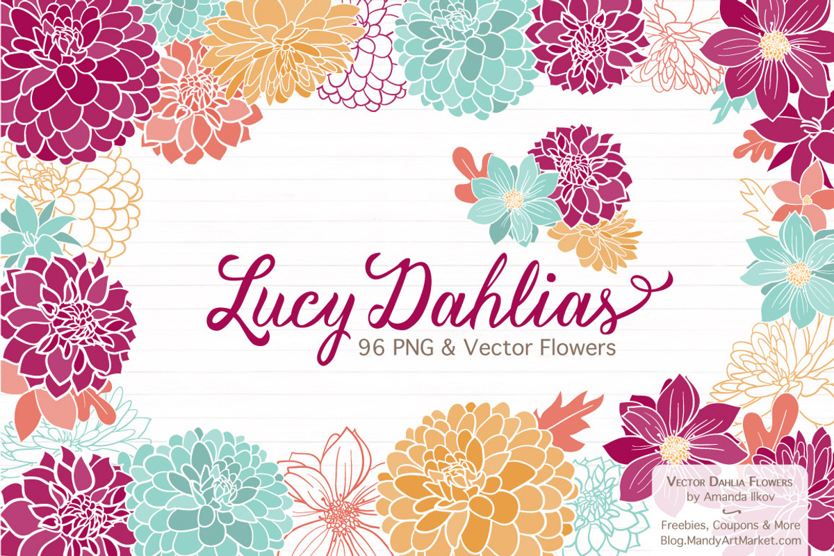 Bohemian Dahlias Clipart & Vectors, an Illustration by Amanda Ilkov (Photo 1 of 4)