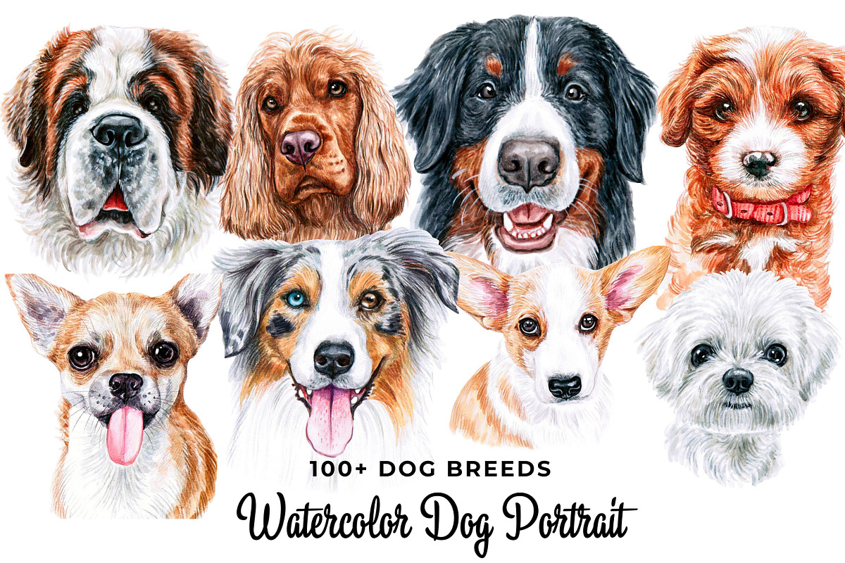 100+ Watercolor Dog Breeds - UPDATE, an Animal Illustration by ArtbyHien (Photo 1 of 9)
