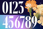 Evolugi Modern Luxury Serif Font, a Serif Font by timelesstype.co (Thumbnail 13 of 20)