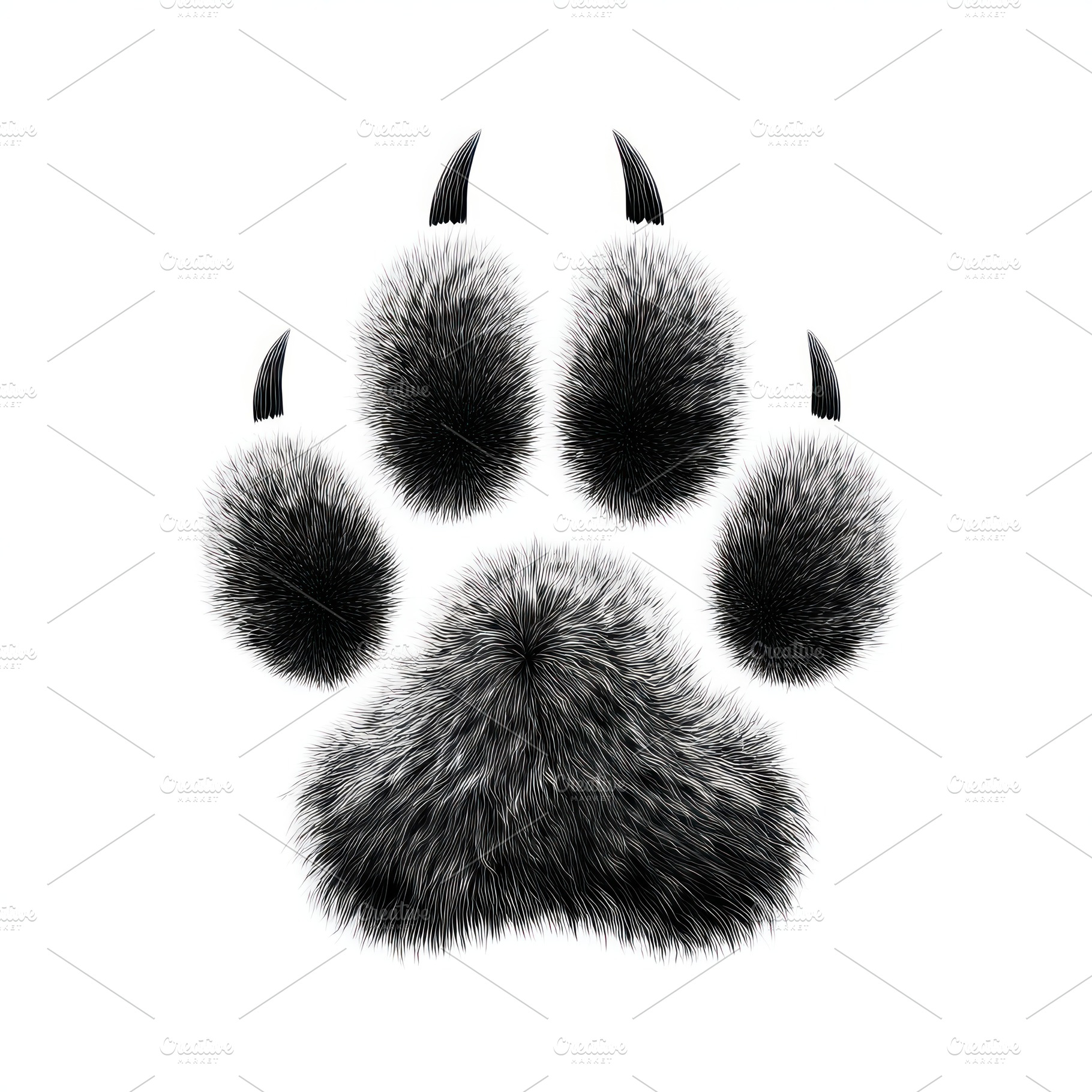 Realistic furry black and white animal paw print with visible cl, an Animal Photo by José Manuel Gelpi