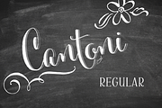 Cantoni Hand Lettered Font, a Script Font by Debi Sementelli (Thumbnail 1 of 2)