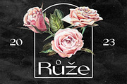 La Volicia Typeface, a Sans Serif Font by Prominent & Affluent (Thumbnail 8 of 12)