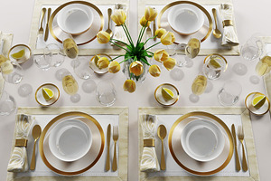 Table Setting 08