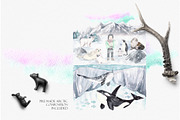 ARCTIC ANIMALS watercolor set PART 2, an Animal Illustration by Natali Smolova (Thumbnail 6 of 7)