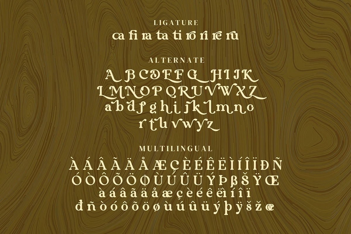 Kabytag Serif Fonts, a Serif Font by mahstudios (Photo 12 of 14)