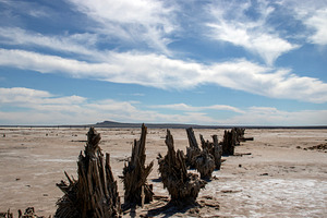 Dried-up salt lake Baskunchak., a Nature Photo by Schreibikus