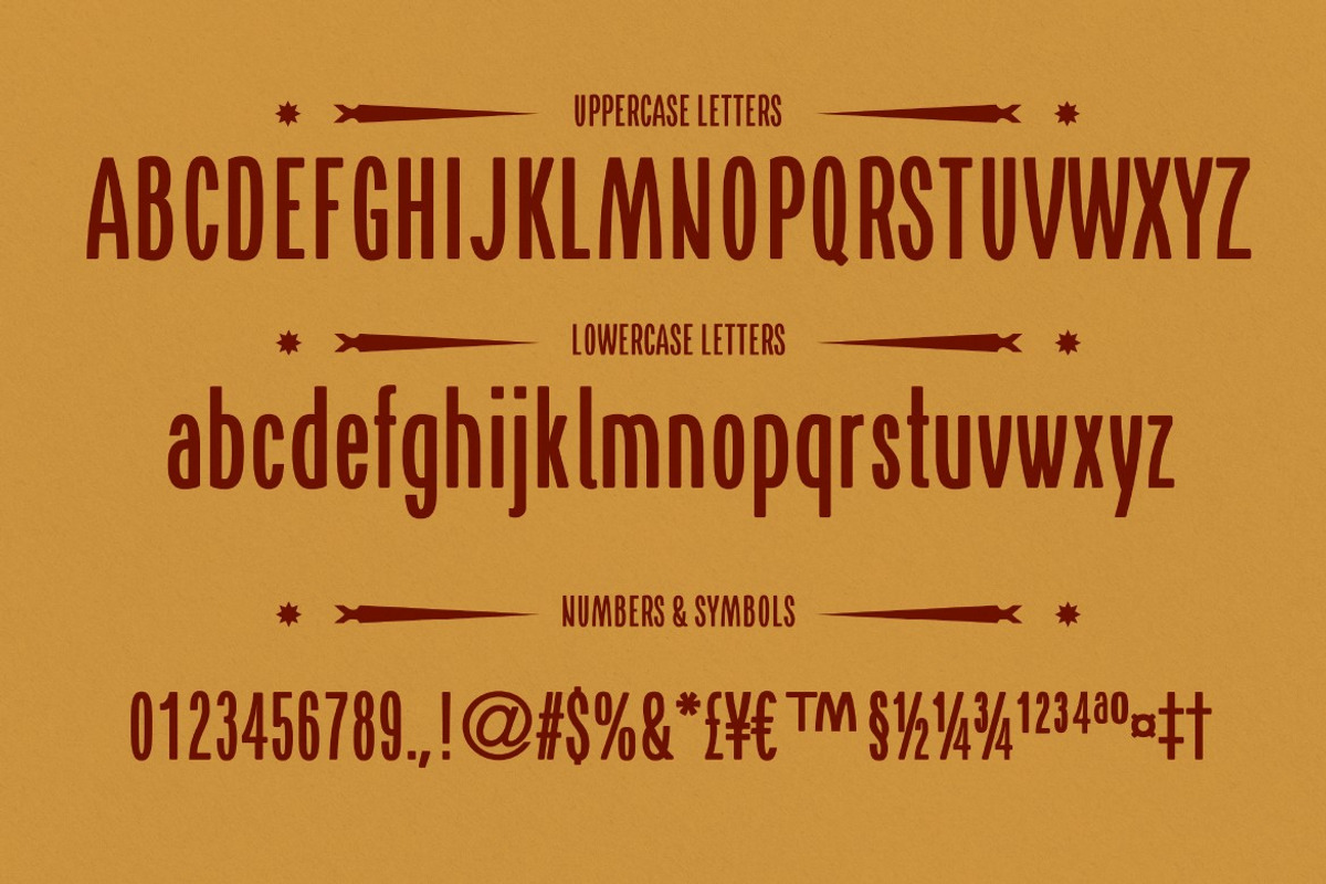 Vintasca, a Sans Serif Font by graphicook (Photo 2 of 8)
