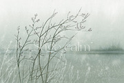 Quiet Fields – landscape wall mural, a Wallpaper Graphic by Timofi Art (Thumbnail 4 of 14)