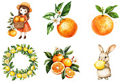 Citrus Fruit Clipart, an Illustration by designcity5 (Thumbnail 3 of 5)