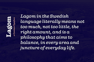 Lagom Serif Family INTRO OFFER!