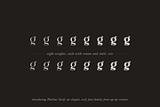 Flatline Serif Complete - 16 fonts, a Serif Font by Up Up Creative (Thumbnail 2 of 13)