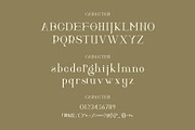 Hitocie Ligature Serif Typeface, a Serif Font by Humaira_std (Thumbnail 9 of 12)