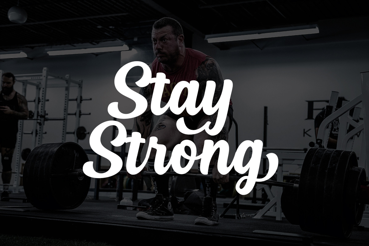 Haliond Modern Script, a Script Font by Multype Studio (Photo 7 of 11)