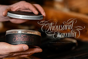 Thousand Familia, a Script Font by alit design (Thumbnail 12 of 15)