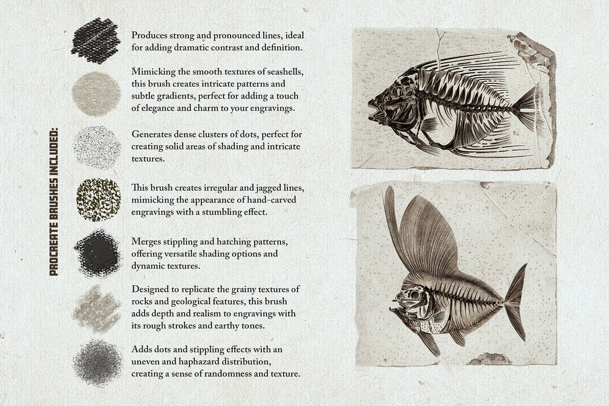 Hand Colored Engraving Procreate Kit, a Brush Add-On by Digi Life (Photo 6 of 10)