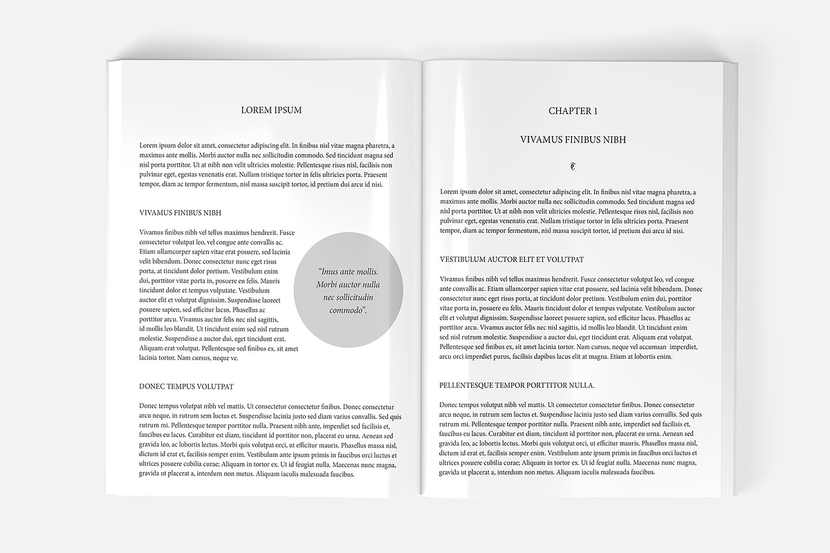 Paperback Book Mockup 8x11 inch, a Books & Magazine Mockup by Illusiongraphic (Photo 11 of 26)