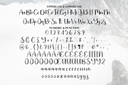 Sublimation | Script Font, a Handwritten Font by Scratchones (Thumbnail 7 of 8)
