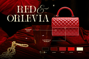 Ronel Luxury - Modern Logo Font, a Serif Font by Illushvara Design (Thumbnail 14 of 14)