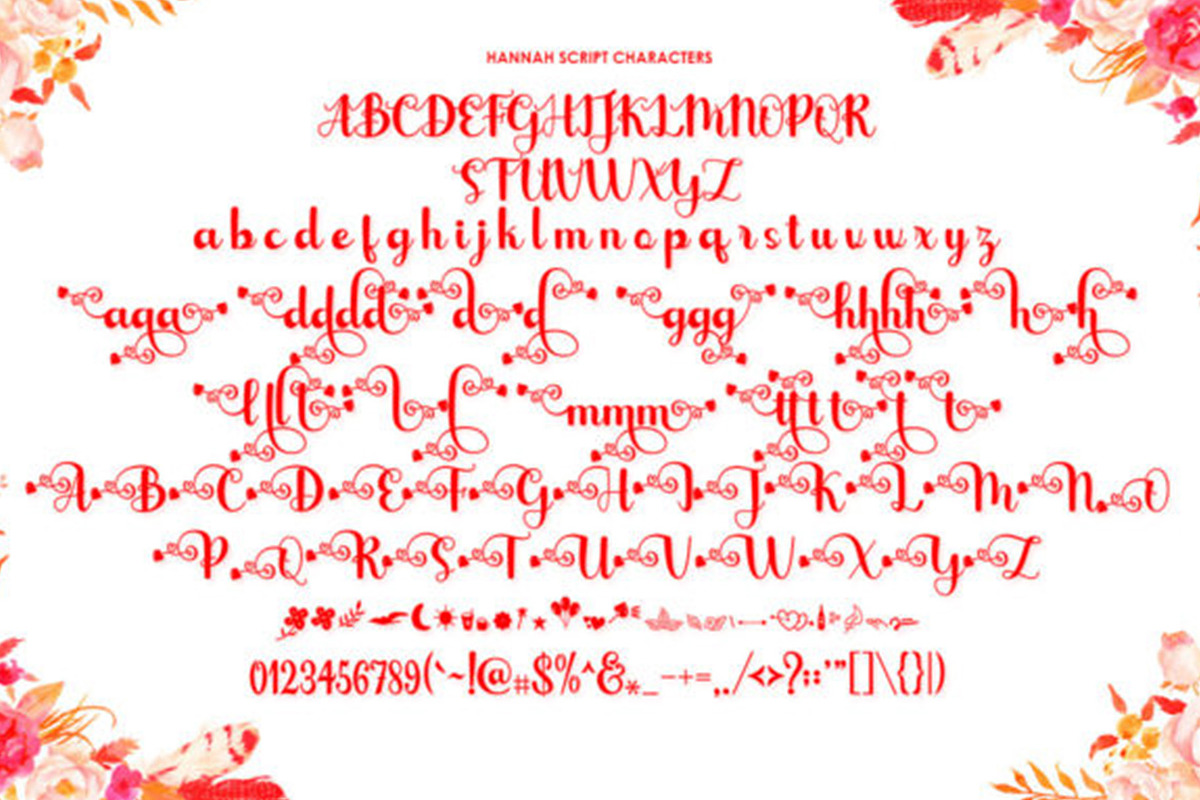 Hannah Script, a Script Font by Gatype (Photo 4 of 5)