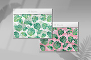 Monstera plant pattern., a Pattern Graphic by Anna Smirnova (Thumbnail 2 of 6)