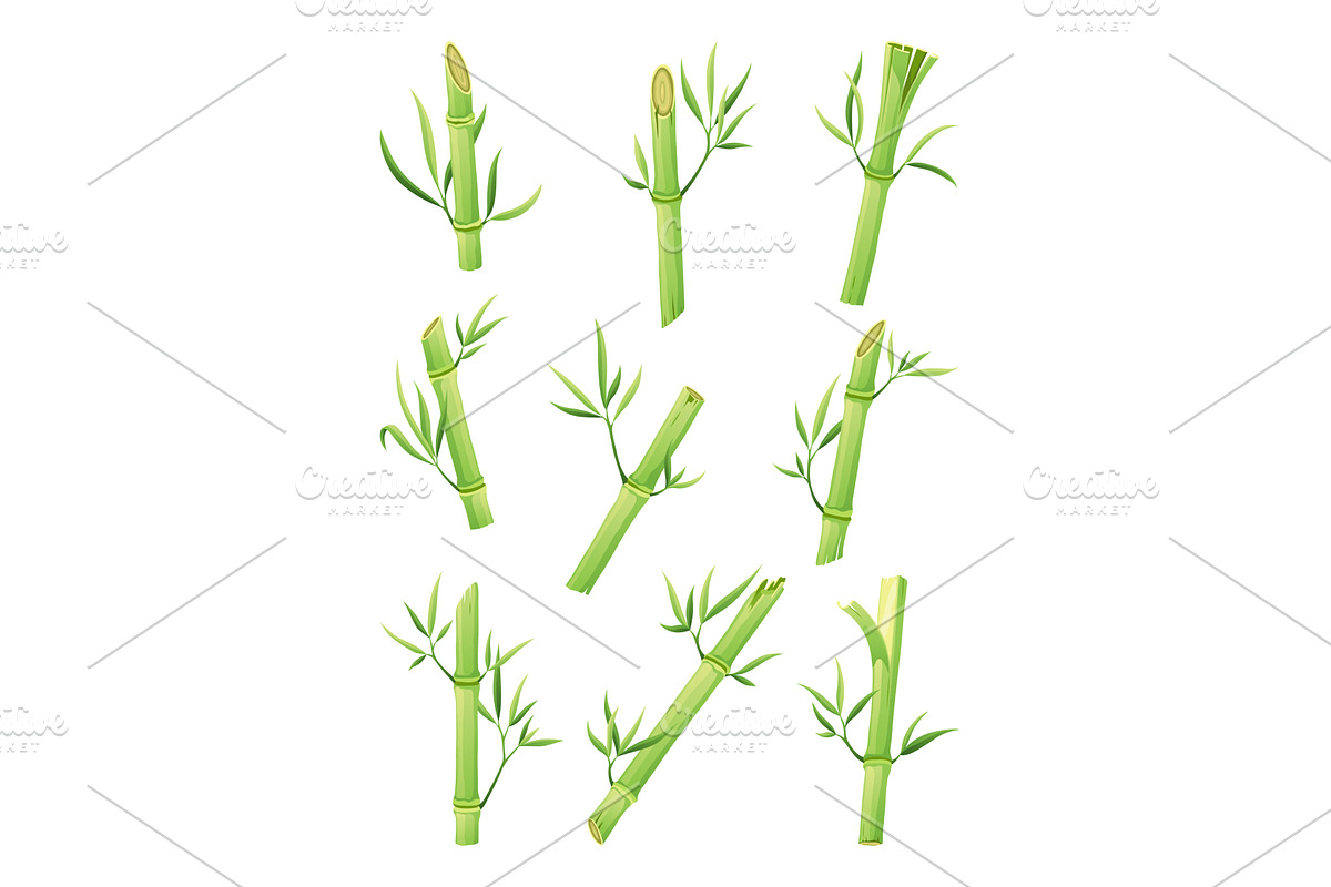 Bamboo green stalk, icon set, an Object Illustration by Things for designers