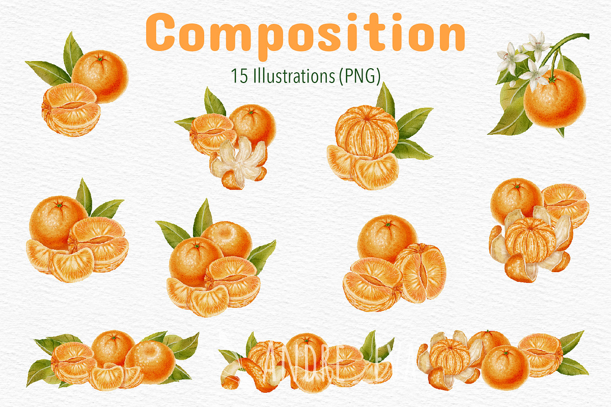 Tangerines — Watercolor Illustration, a Food Illustration by Andre_Eva (Photo 4 of 11)