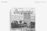Regis | Elegant Serif Font Family, a Serif Font by Type and Co. (Thumbnail 12 of 20)