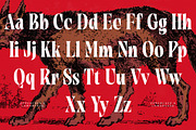Tieldsa Bold Serif Display Font, a Serif Font by timelesstype.co (Thumbnail 4 of 20)