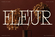 Alorisse – Editorial Ligature Font, a Font by SilverStag Type Foundry (Thumbnail 6 of 20)