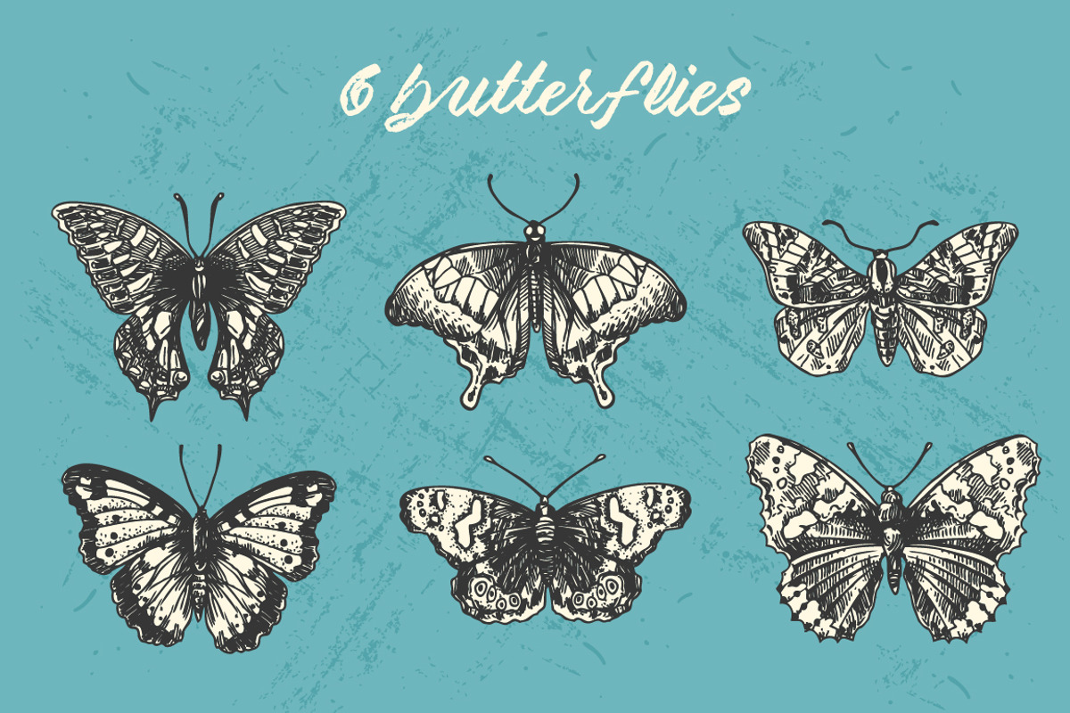 Butterflies and flowers, an Animal Illustration by Steshnikova (Photo 2 of 5)