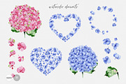 Hydrangea Flowers, a Decorative Illustration by Anna Myslivets Art (Thumbnail 5 of 6)