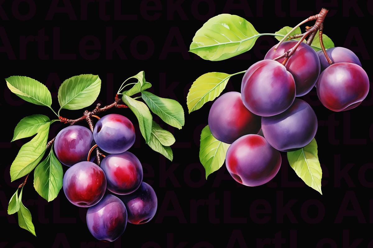 Plums Watercolor Clipart, a Food Illustration by LekoArt (Photo 6 of 10)