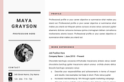 Professional Resume CV Template, a Resume Template by GResume (Thumbnail 6 of 7)
